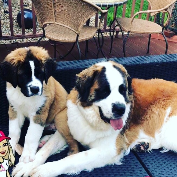 Meet your Posher, Kelly - Picture 3 of 4